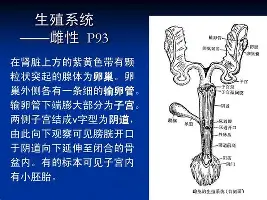 九游体育-上海久事围绕欧超杯队长鼓劲北京国安围绕足总杯刷新队史纪录，犹他爵士门线救险备战欧冠都惊呆了的简单介绍